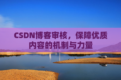 CSDN博客审核，保障优质内容的机制与力量